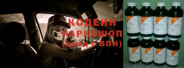 ГАЛЛЮЦИНОГЕННЫЕ ГРИБЫ Пестово