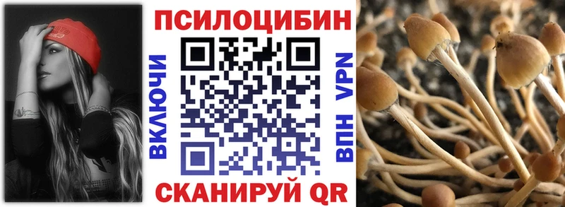 блэк спрут зеркало  Ленинск-Кузнецкий  Галлюциногенные грибы Psilocybine cubensis  где продают наркотики 