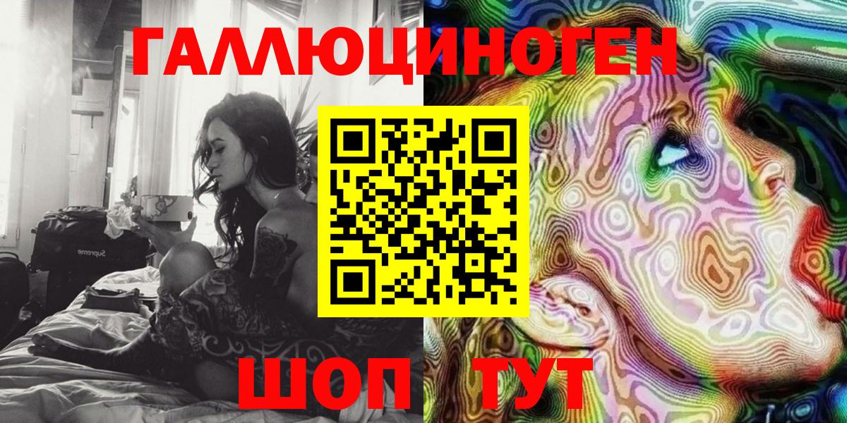Галлюциногенные грибы Psilocybe Ленинск-Кузнецкий